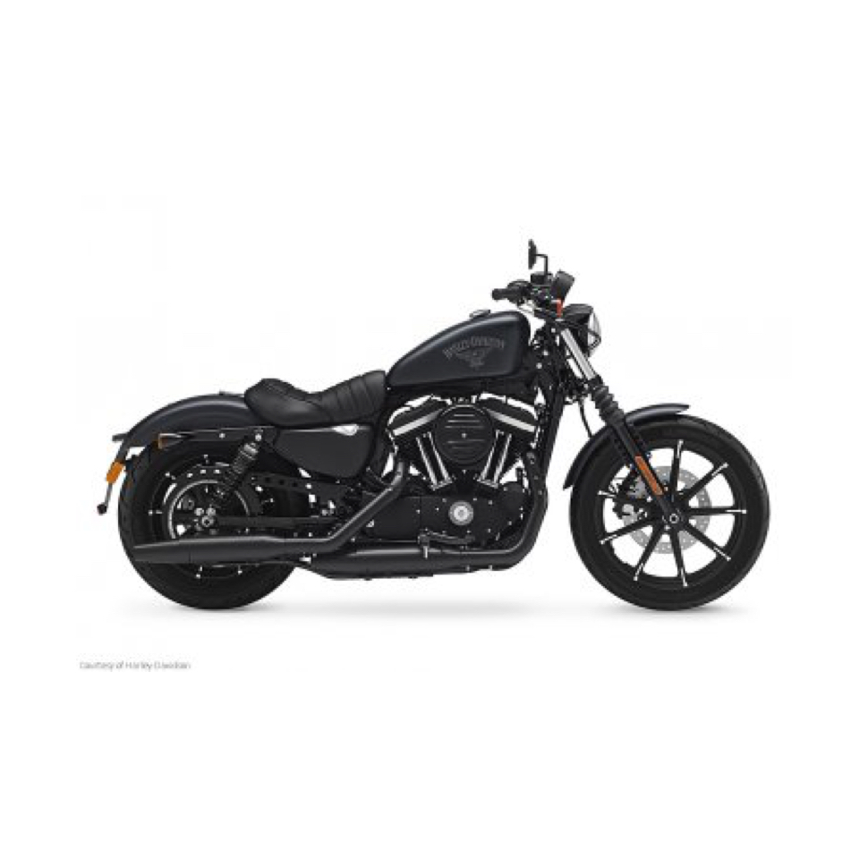 Harley Davidson Sportster 883 Iron Abs Jonich Alpina Uk
