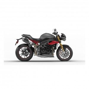 Triumph Speed triple JoNich